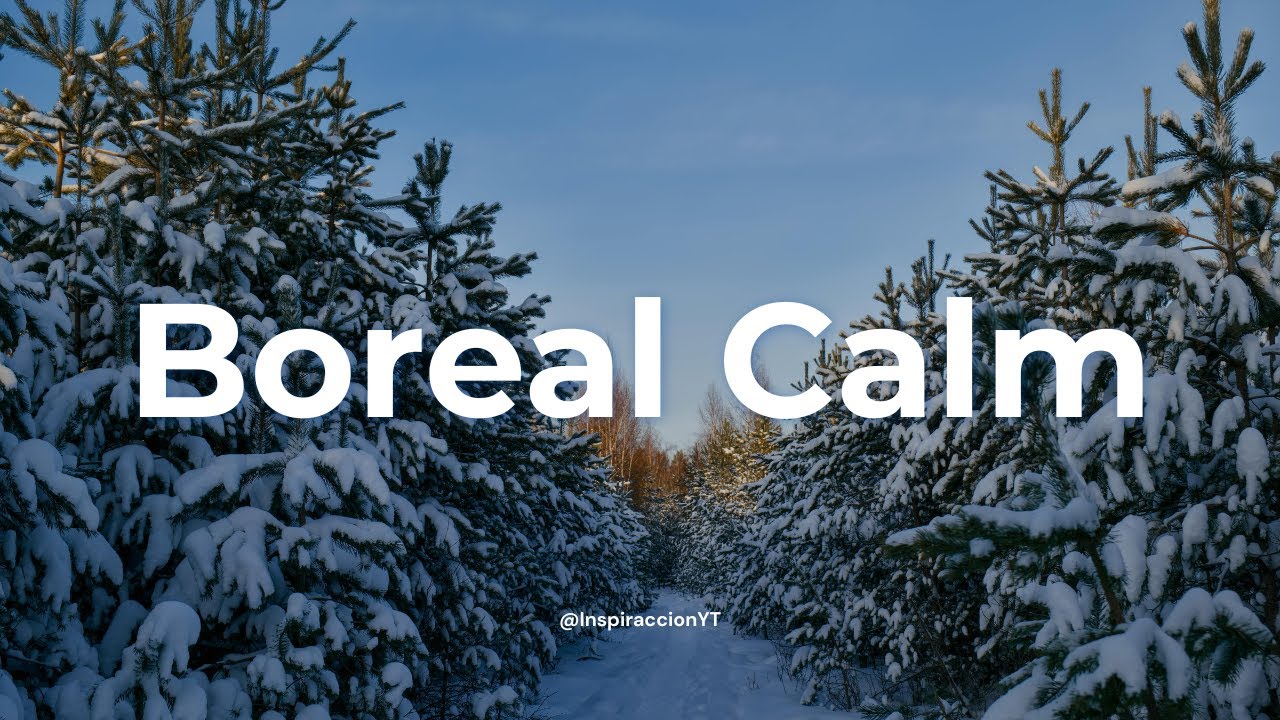 Boreal Calm — Deep Frozen Ambient for Focus, Relax & Sleep (1 Hour)