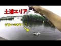 2020-6月　土浦エリアをぐるぐるしてきた件！！初バス捕獲