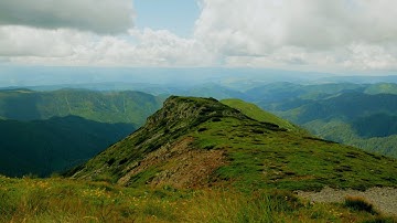 Undisturbed nature | Cinematic Video | Panasonic GX80 + 12 32 kit lens