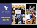 [ALL RACES] Dubai World Cup Carnival - 27 February 2020