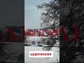 Алтайский травник
