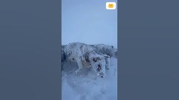 ذَرْهُمْ يَأْكُلُوا وَيَتَمَتَّعُوا وَيُلْهِهِمُ الْأَمَلُ ۖ فَسَوْفَ يَعْلَمُونَ-سورة الحجر-الاية 3