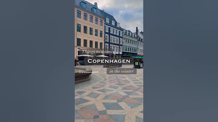 #Copenhagen #Denmark #winter #Nyhavn #Christmas #food #travel #wanderlust #shopping #Tivoli #tour