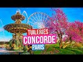 Place de la concorde jardin des tuileries   paris france paris in spring