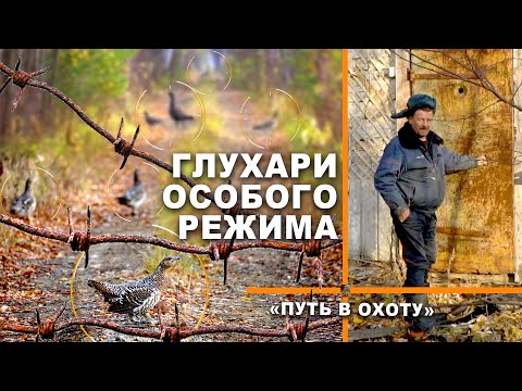 Видео: ОХОТА НА СЕВЕРАХ