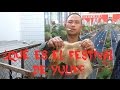 ¿Qué es el festival de yulin?