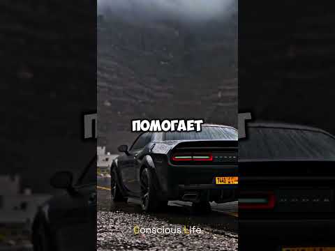 Как стать самым