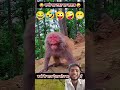 बंदर की लड़ाई 🤣🐒🙉🤣😂#monkey #funny #comedy #funnyanimals #jokes #funnymemes #ytshorts #monkey
