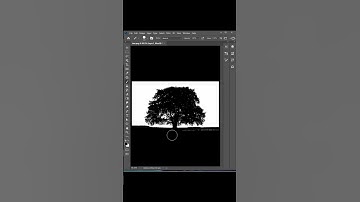 How To Remove Tree Background In Photoshop | #earse background | #photoshop | #raj edits | #edit