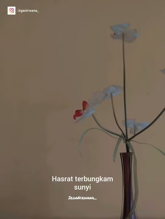 Story Wa Garis Terdepan - FIERSA BESARI