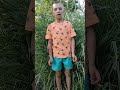 Все навколо зеленіє О Олесь 