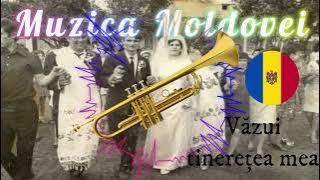 VĂZUI TINEREȚEA MEA - CEA MAI FRUMOASA SÂRBĂ MOLDOVENEASCA