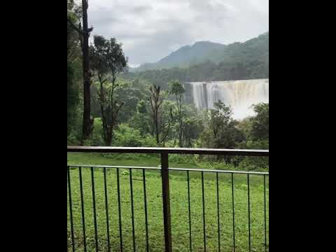 هذه الإطلاله الساحرة من منتجع رين فورست الهند كيرلا