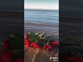 افتقدك يا اعز الناس صالح