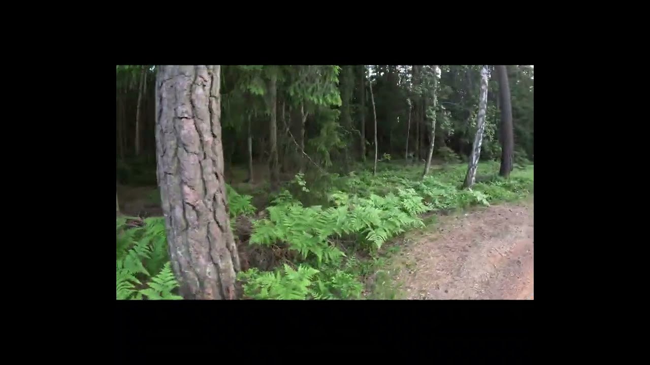 008 Skogskyrkogården