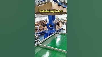 Industrial Palletizing Robot