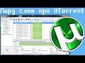 Пару слов про UTorrent