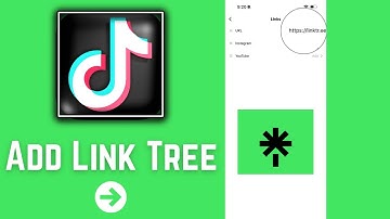 How to Add Linktree on TikTok | Make Business TikTok Account | Linktree Tutorial 2025
