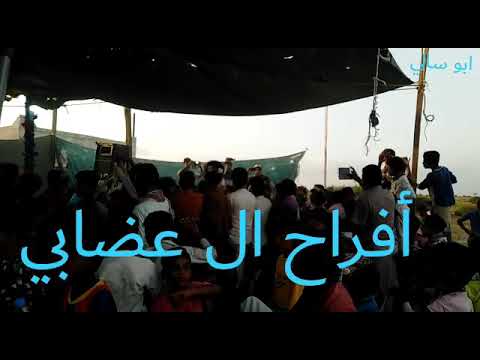 الفنان أحمد صقر أمير الفن