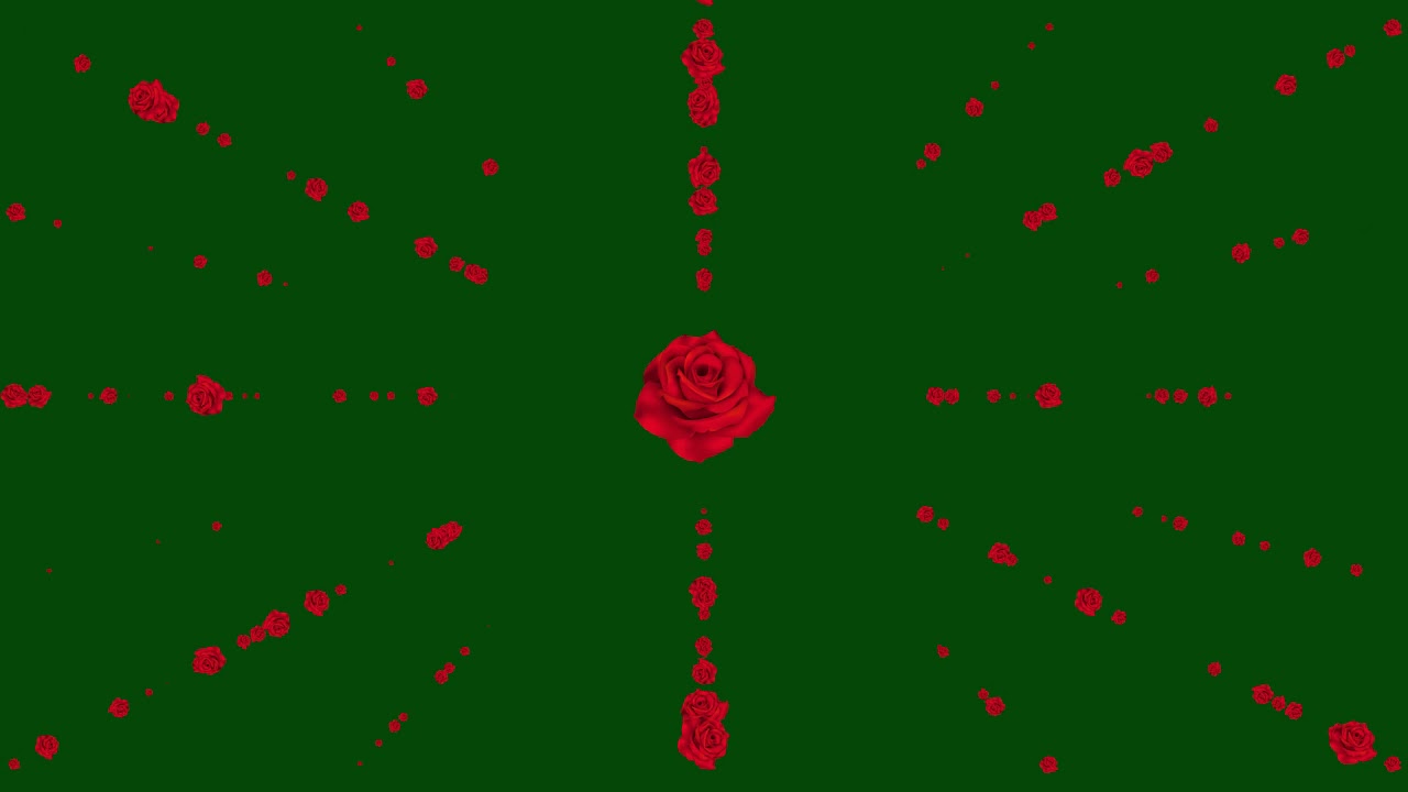 Free Green Screen Rose Red Effect Background HD || Sk Green Screen ...