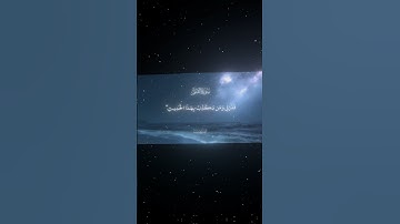 سورة القلم|42-45|القارئ:#محمد_اللحيدان #قران #quran #راحة_نفسية #قران_كريم  #تلاوة_هادئة#تلاوة_خاشعة