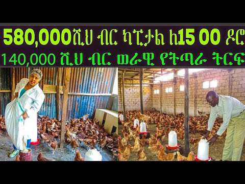 ቪዲዮ: ላንካራን አኬሲያ (37 ፎቶዎች) - የላንካራን አልቢክ ወይም የሐር ዛፍ መግለጫ። መትከል እና እንክብካቤ ፣ የበረዶ መቋቋም እና እርሻ ፣ እርባታ