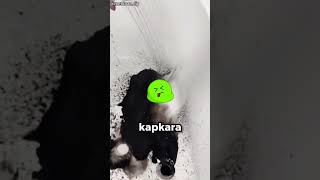 Duş Başlığı Temizliği Yapan Kadın Gördüklerine Inanamadı