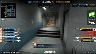 EXPERT ANDY DOUBLE COLLAT ACE