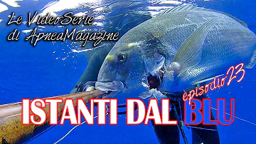 Pescasub: l'Orata Gigante, Regina dei Relitti Profondi - Apnea Magazine