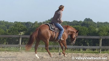 Catjumpovertherey - LEAD Changes, big stops! - ValleyViewRanch.net