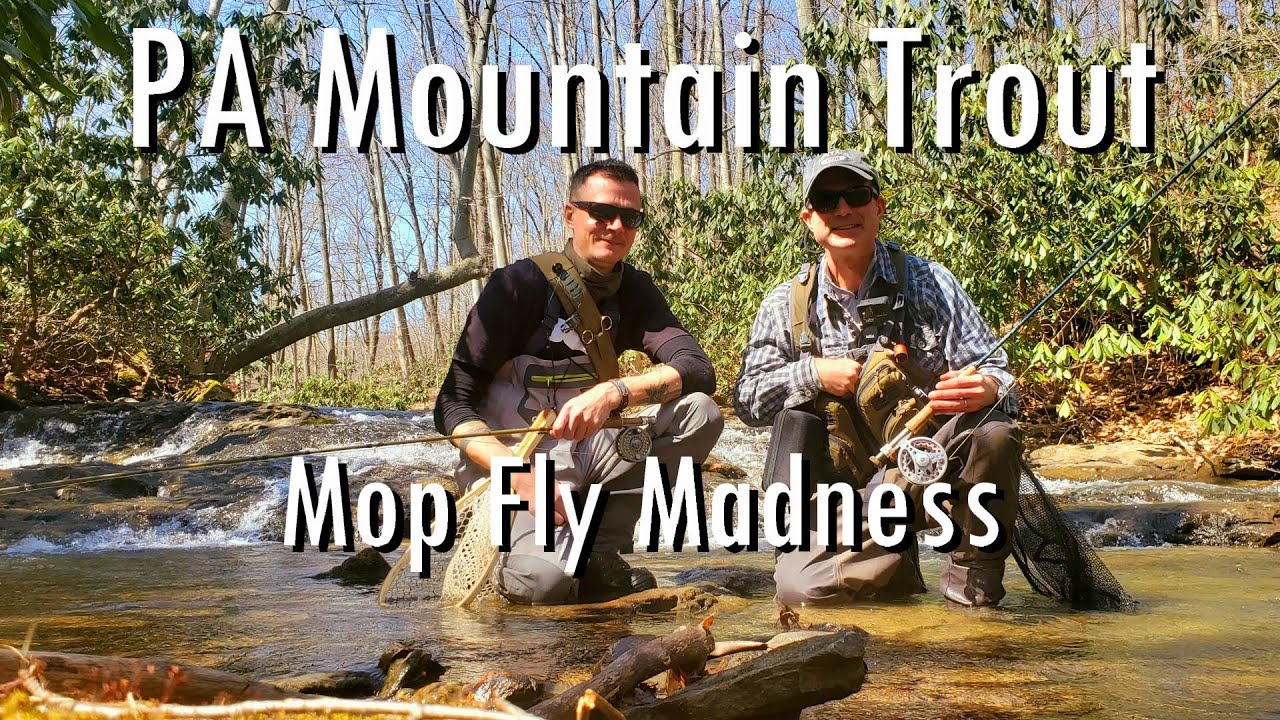 WBD - Fly Fishing for PA Mountain Trout Mop Fly Madness 