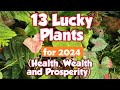 13 Lucky Plants for 2022 #luckyplantsfor2022 #luckyplantsforhome #indoorluckyplants