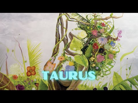 Video: What A Gift To Give A Taurus