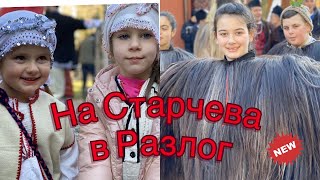 На Старчева в Разлог