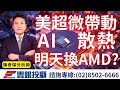 20240130陳奇琛分析師｜美超微帶動AI、散熱，明天換AMD?奇鋐、雙鴻、麗臺、華泰、廣達、緯創、全新