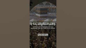 القارئ اليمني محمد صالح يسترسل من بعض آيات سورة الحج