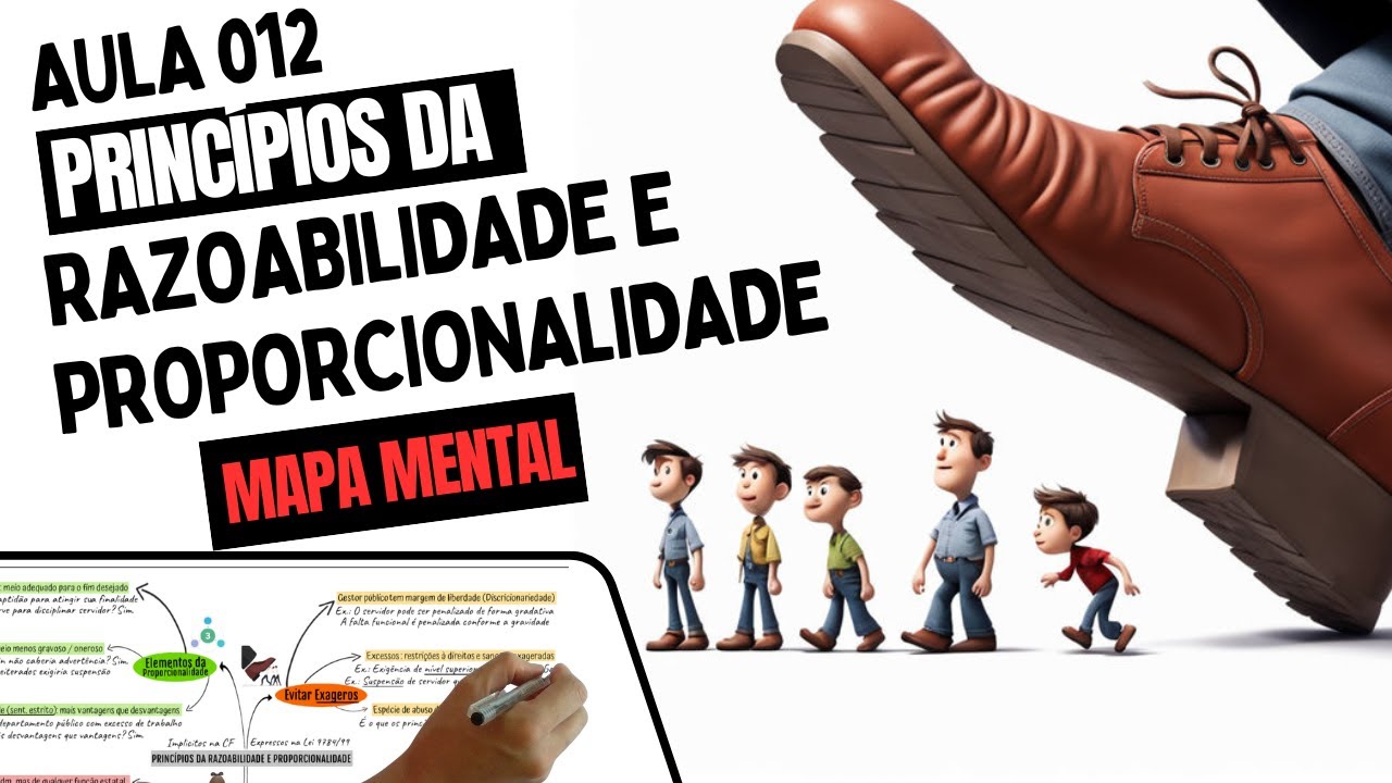 #012 PRINCÍPIO DA RAZOABILIDADE E PROPORCIONALIDADE - CURSO COMPLETO EM ...