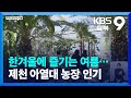 한겨울에 즐기는 여름…제천 아열대 농장 인기 / KBS  2024.01.26.