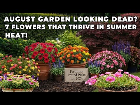 AUGUST GARDEN LOOKING DEAD? 7 FLOWERS THAT THRIVE IN SUMMER HEAT!