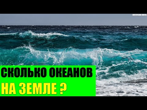 Видео: Сколько океанов в мире?
