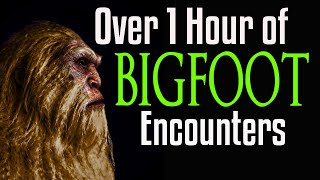 Bigfoot Ultra Marathon - Over one Hour of Bigfoot Encounters - Squatch-A-Thon