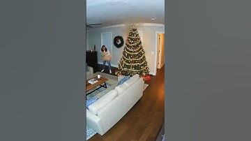 christmas tree fire alarm #shorts #dog #save #funny #animals #nyxcodexlife #winter #christmas