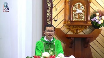 Giảng lễ - TUẦN XXII THƯỜNG NIÊN - 8g00 - 03/09/2023 -  Lm Anphongsô LÊ THIỆN TÂM CSsR