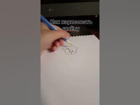 как нарисовать шлёпу - YouTube