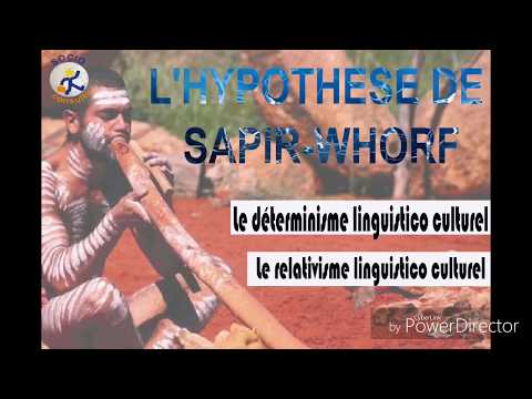 Vidéo: Quelle est l'hypothèse de Sapir Whorf par rapport à la langue et à la culture ?