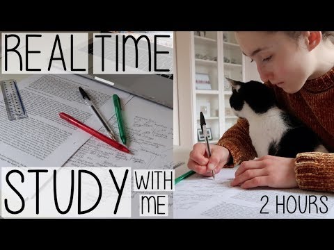 REAL TIME STUDY WITH ME u0026 MY CAT | 2 HOURS OF REVISION PRODUCTIVITY (NO MUSIC)