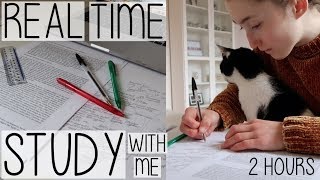 REAL TIME STUDY WITH ME & MY CAT | 2 HOURS OF REVISION PRODUCTIVITY (NO MUSIC)