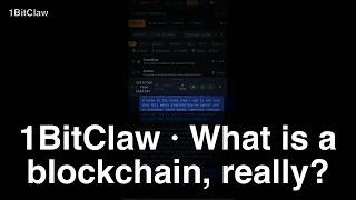 1BitClaw · What is a blockchain, really