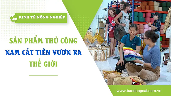 [🔴] Kinh tế nông nghiệp 29-9-2025 | Thông tin hữu ích || ĐNNRTV