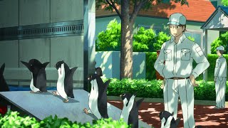 Cute Penguins Mysteriously Appeared in Japanese Village | Anime Recap